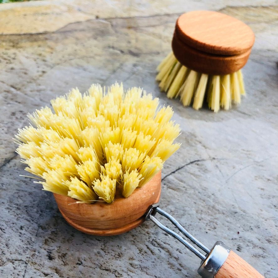 Wooden Dish Brush Replacement Head