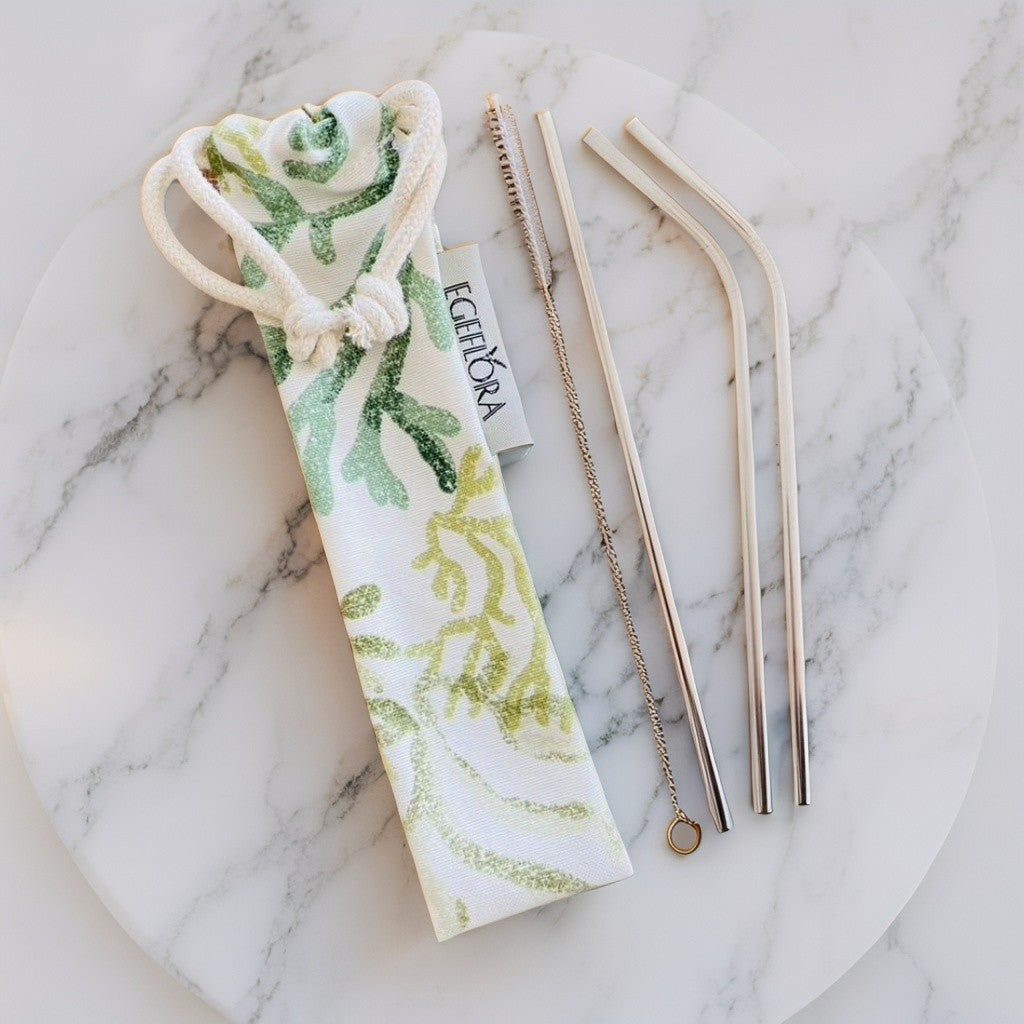 Stainless Steel Drinking Straws and Brush Set with Organic Cotton Pouch