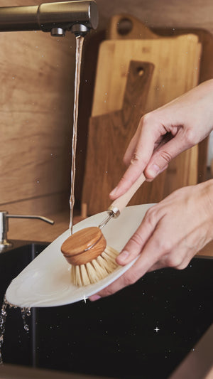 Wooden Dish Brush + 1 Spare Head